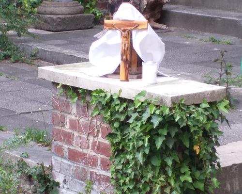 Contemplation du jardin Valenciennes3