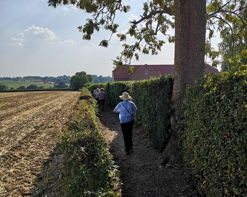 route mariale 2020 5