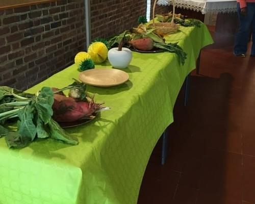 2020-09-06 St Roch Laudato Si (2)