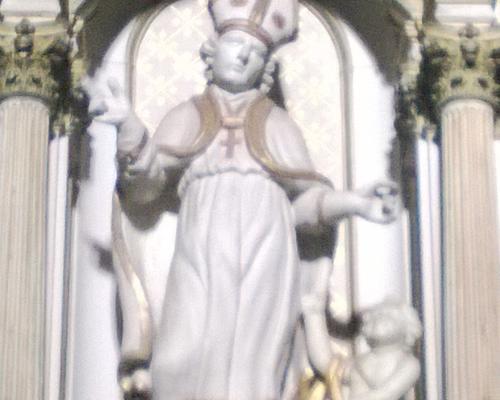 saint wasnon