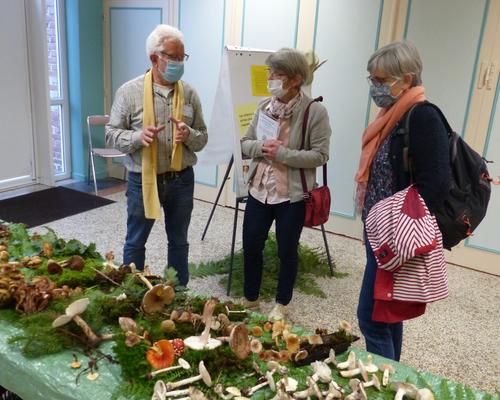 Atelier champignons