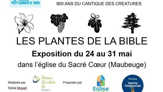 Affiche expo plantes