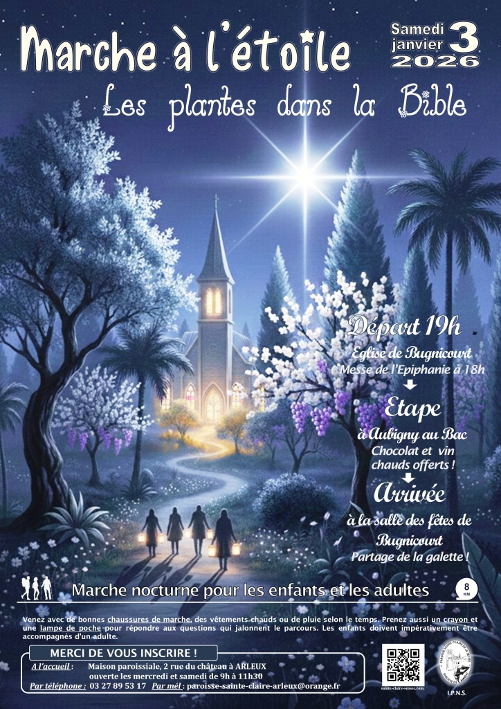 Affiche marche a l\'etoile 2026 ind2