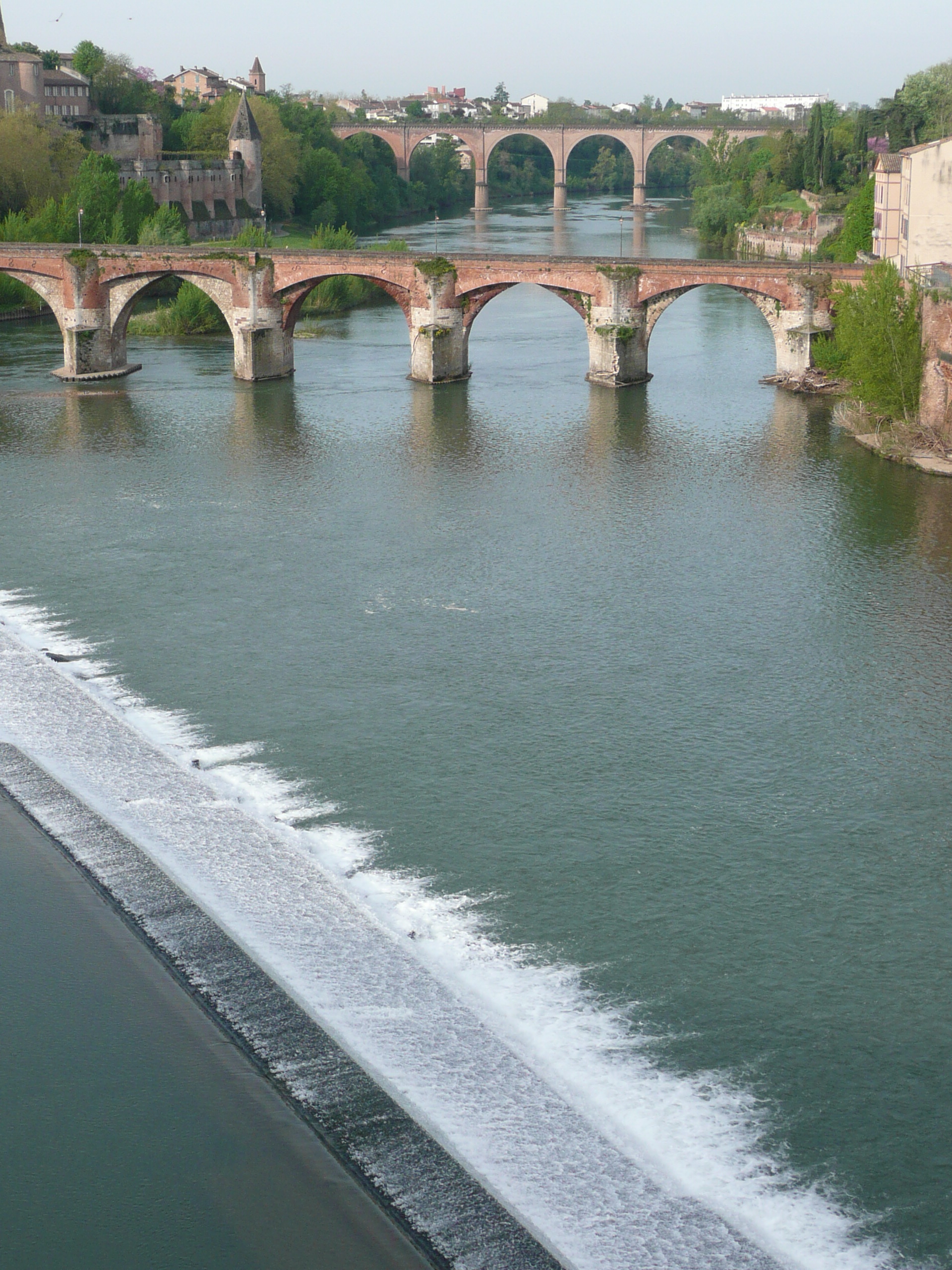 albi