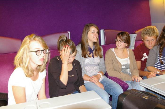 ambiance train rose