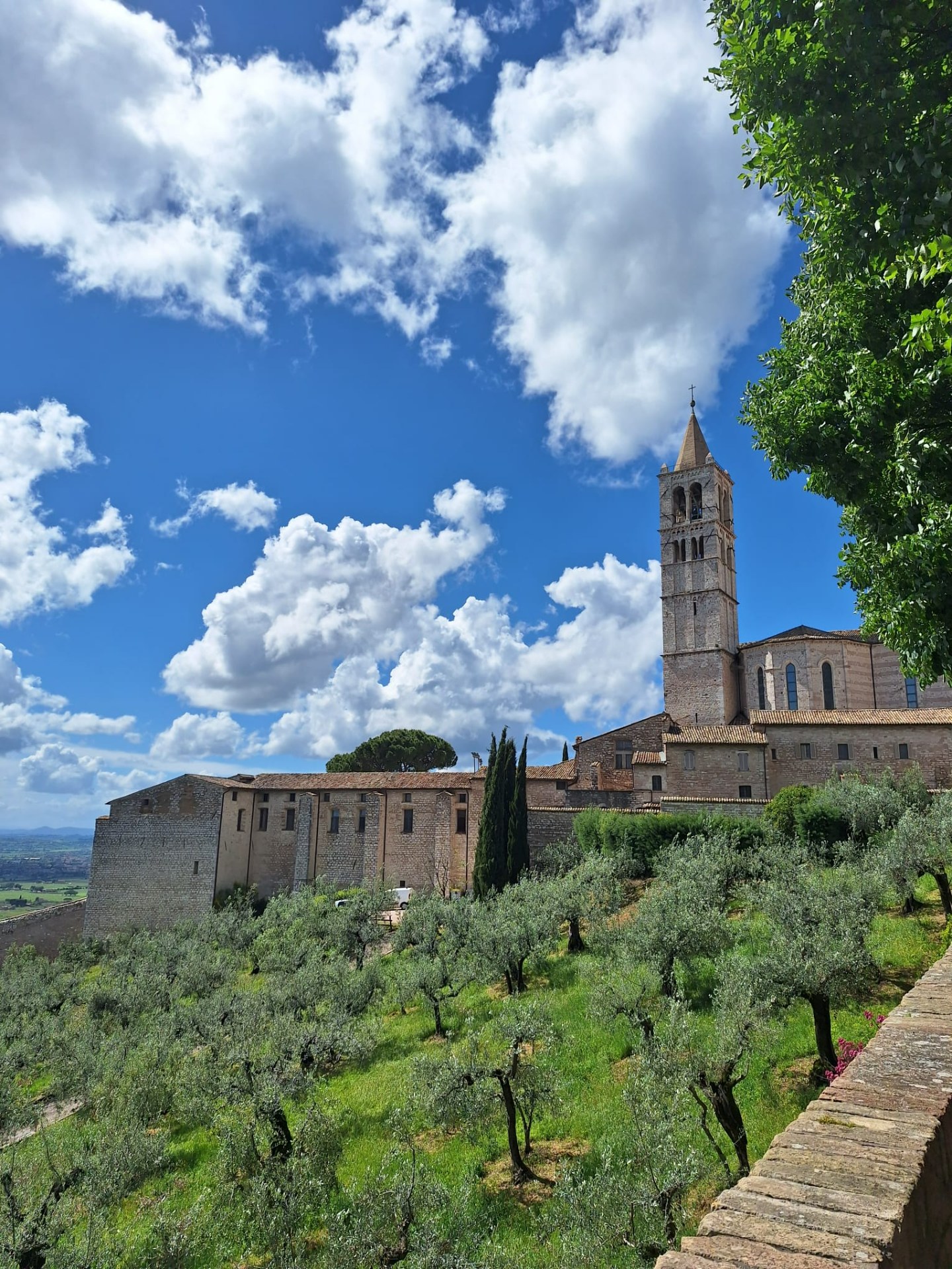 Assise Basilique sainte Claire