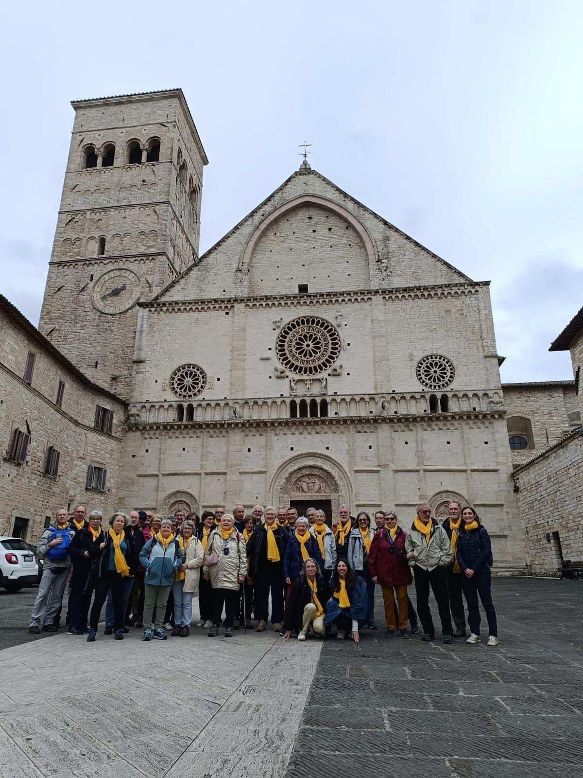 Assise cathedrale