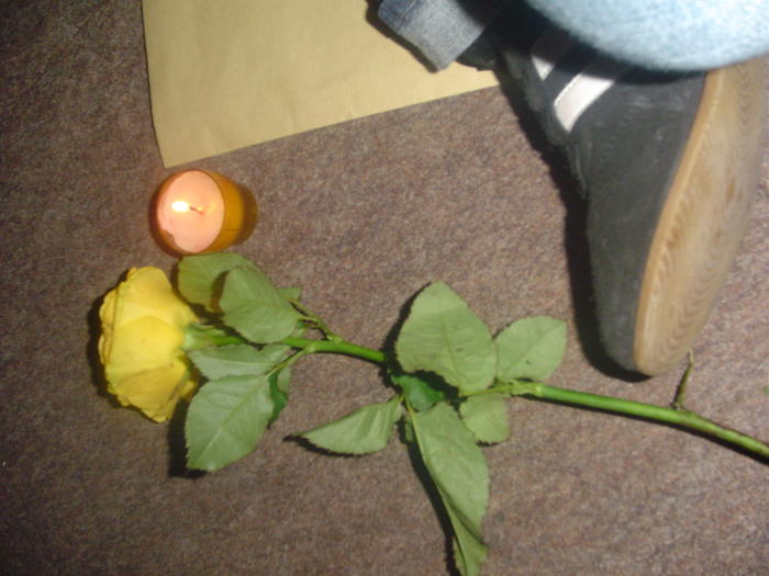 La bougie et la fleur