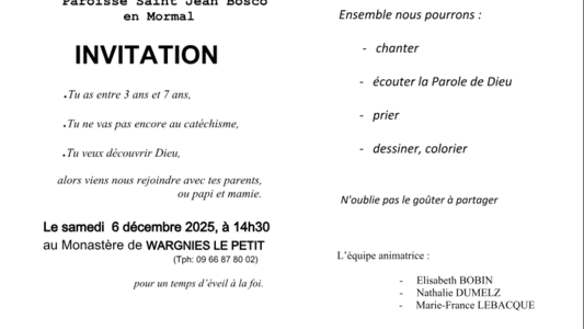 Capture drecran 2025-11-14 150927