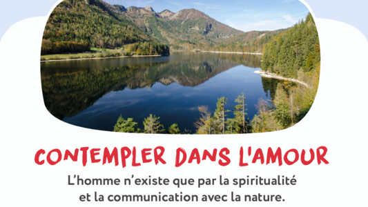 Capture drecran panneau 2