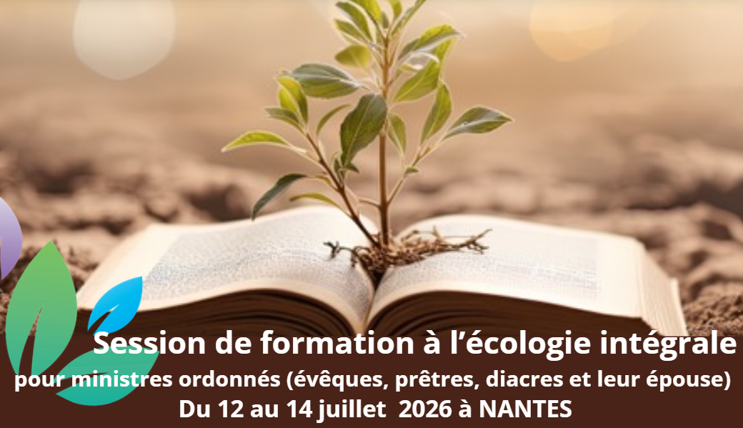 Capture d\'ecran 2026-04-04 102228