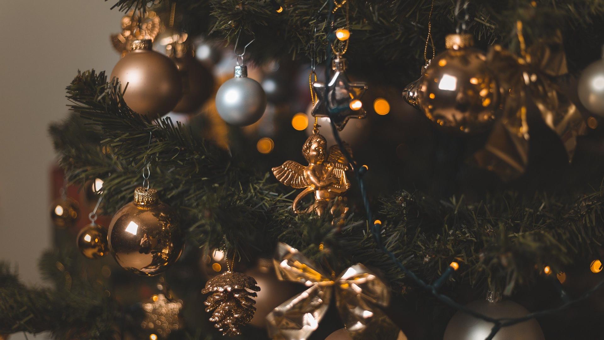 christmas-tree-5758765_1920