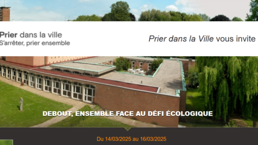 dom Lille