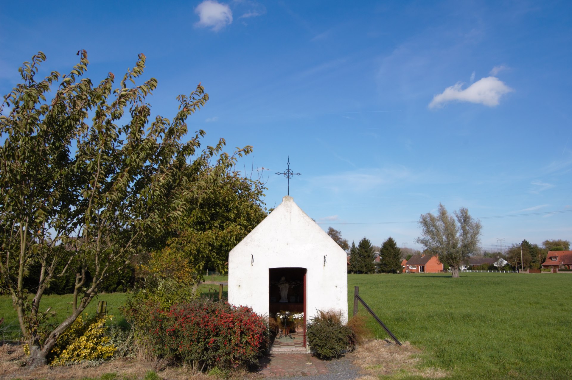 DSC_2637 (2)