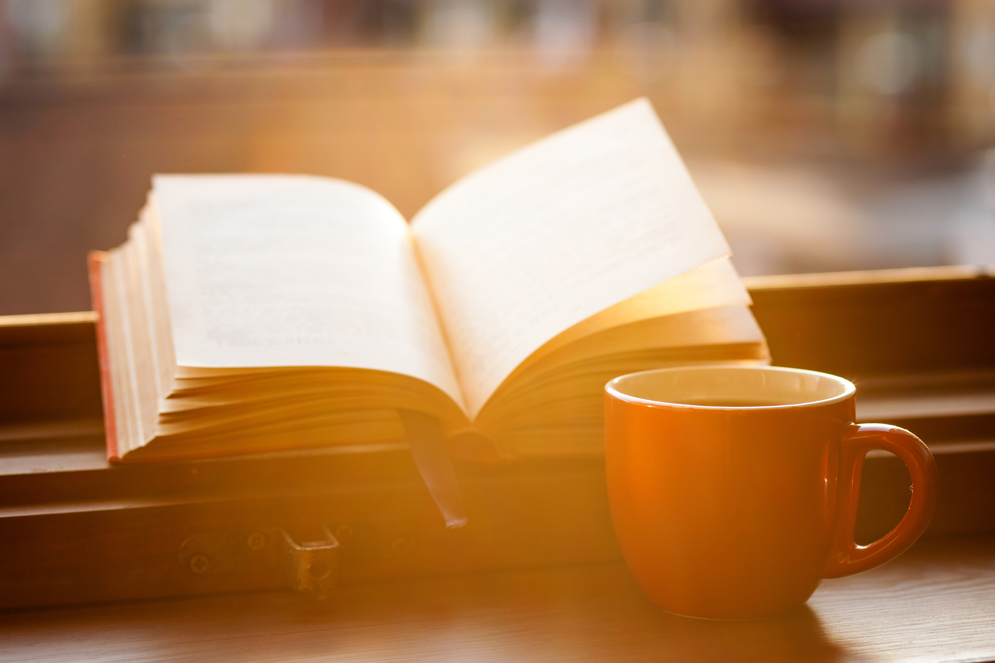 livre-mug-banquephotoCCC