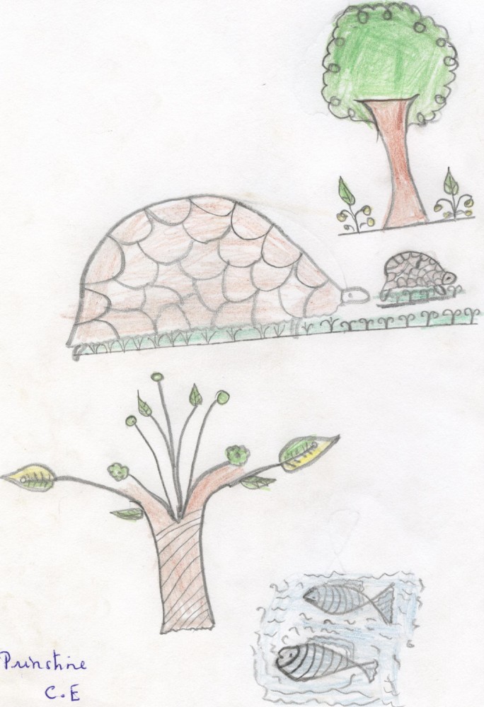 Madagascar2010_dessin1