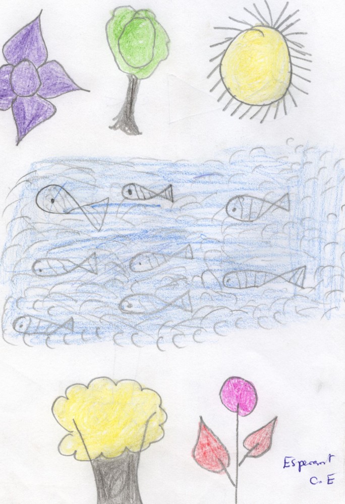 Madagascar2010_dessin3
