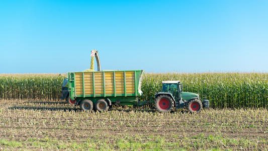 © - fotolia.com agriculture
