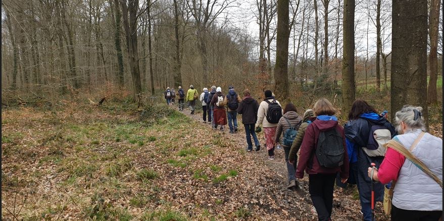 marche en foret MND
