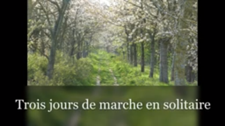 Marche Pelerine