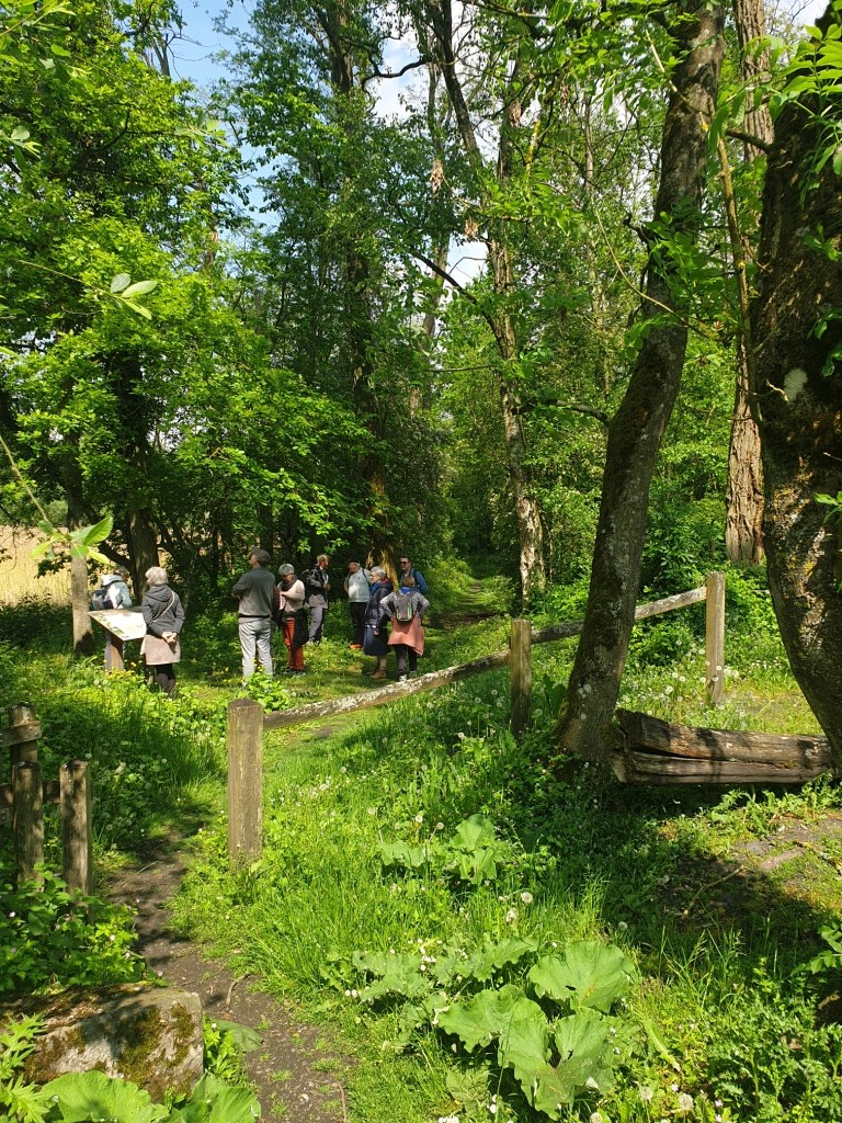 marche spi St Eloi de la Rhonelle (7)