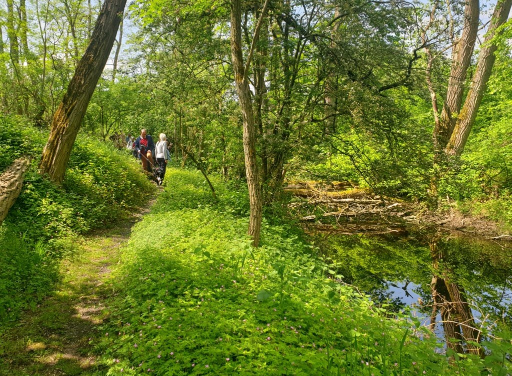 marche spi St Eloi de la Rhonelle (8)