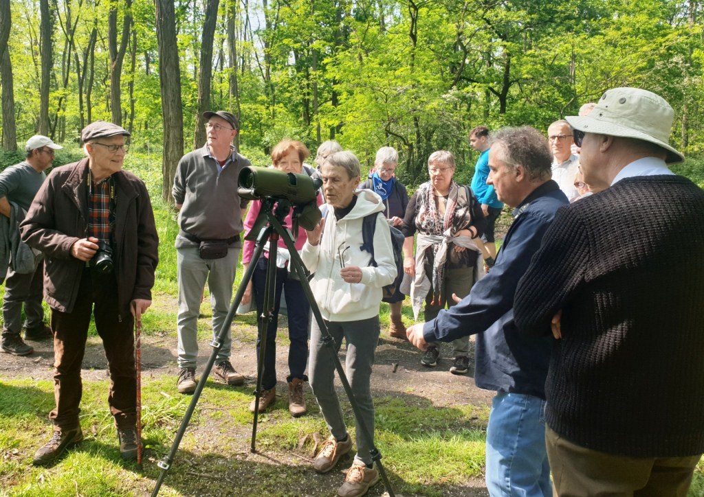 marche spi St Eloi de la Rhonelle (9)