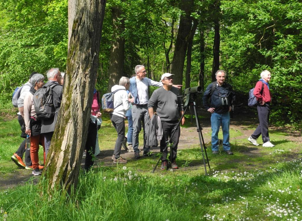 marche spi St Eloi de la Rhonelle (12)