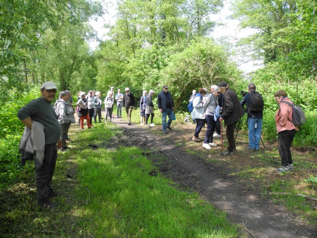 marche spi St Eloi de la Rhonelle (13)