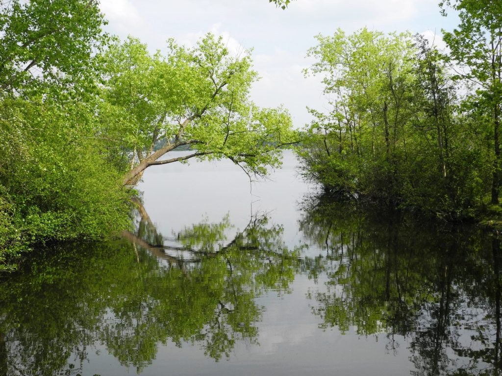 marche spi St Eloi de la Rhonelle (14)