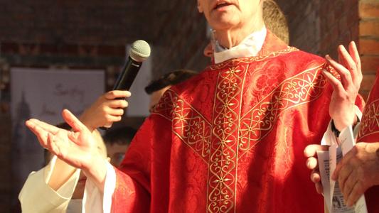 Mgr Dollmann