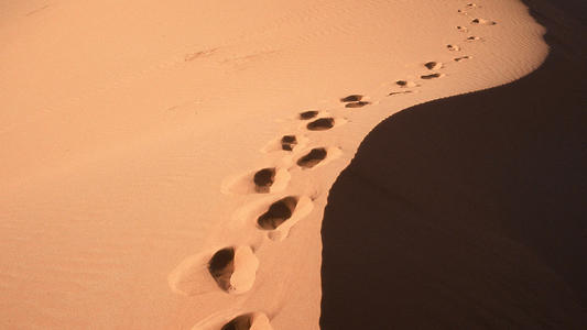 pas du desert