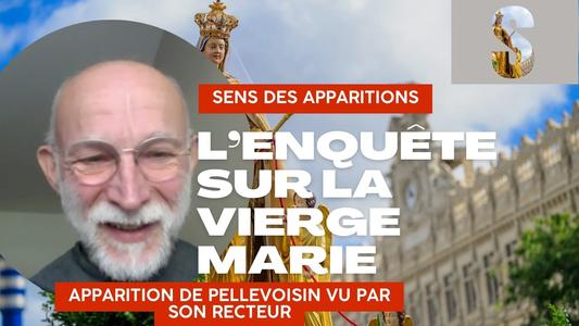 PELLEVOISIN