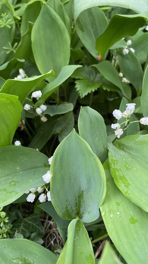 photo_1 (28)