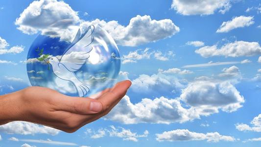 pixabay peace-dove-4077264_960_720httpspixabay.com