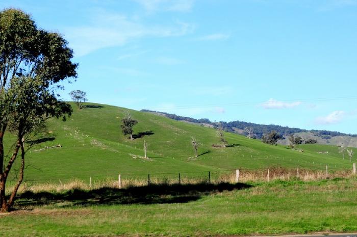 Premiers paysages australiens (vus du bus)