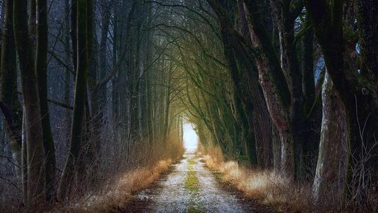 preparez le chemin-  Joe de Pixabay