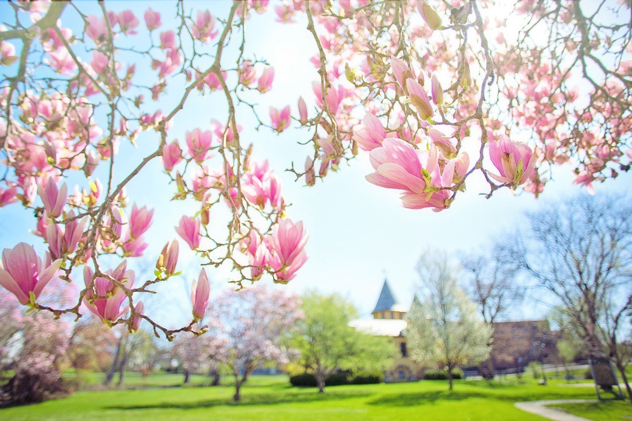 Printemps