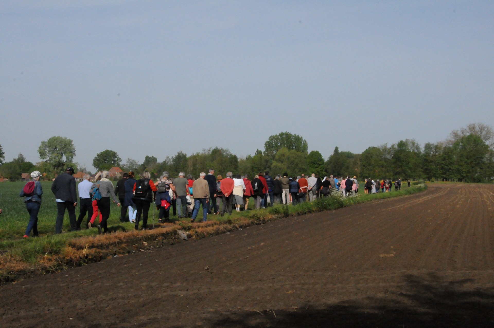 procession 1