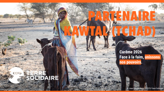 PROJET KATWAL TCHAD