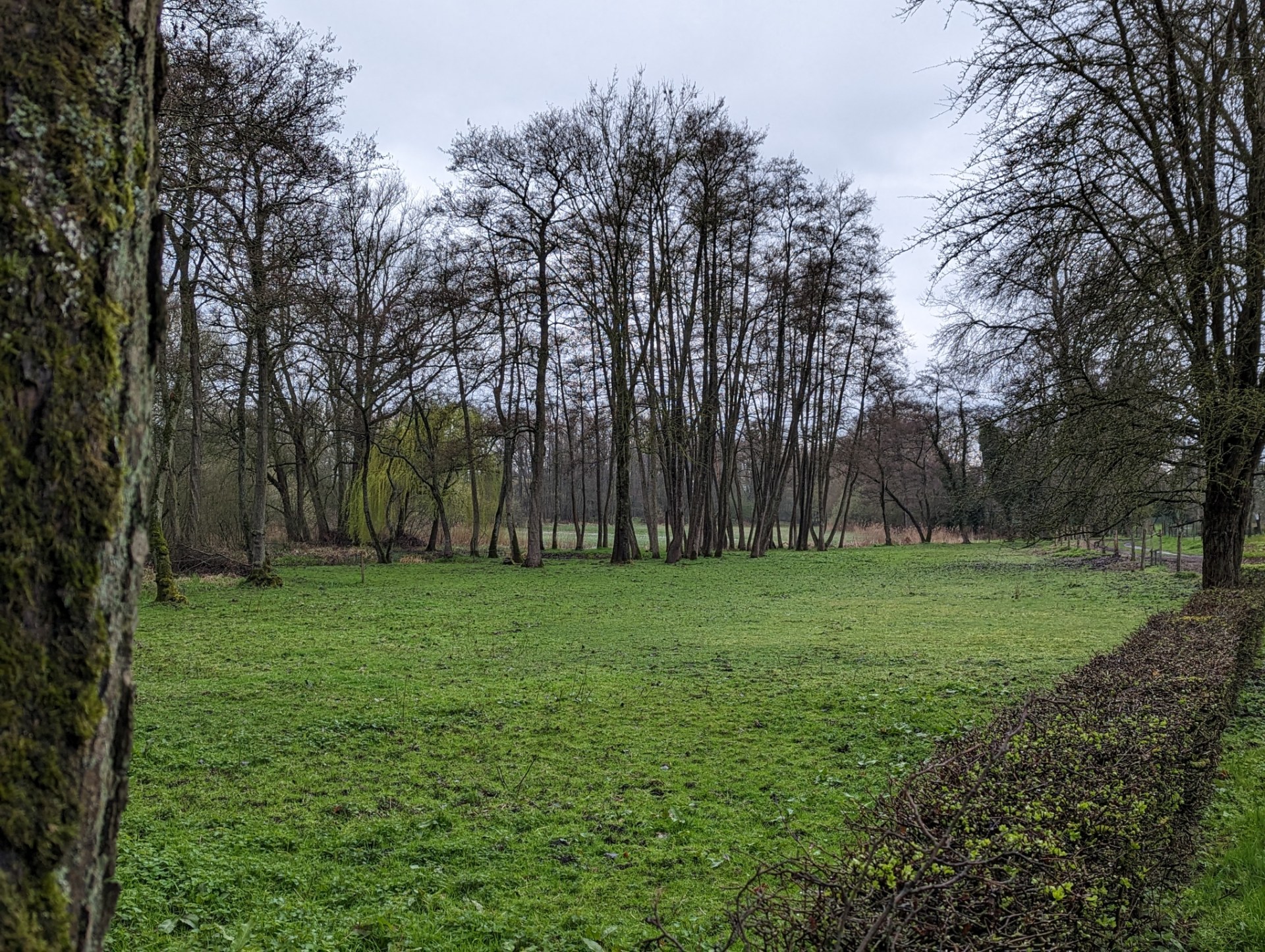 PXL_20230326_142745650(1)