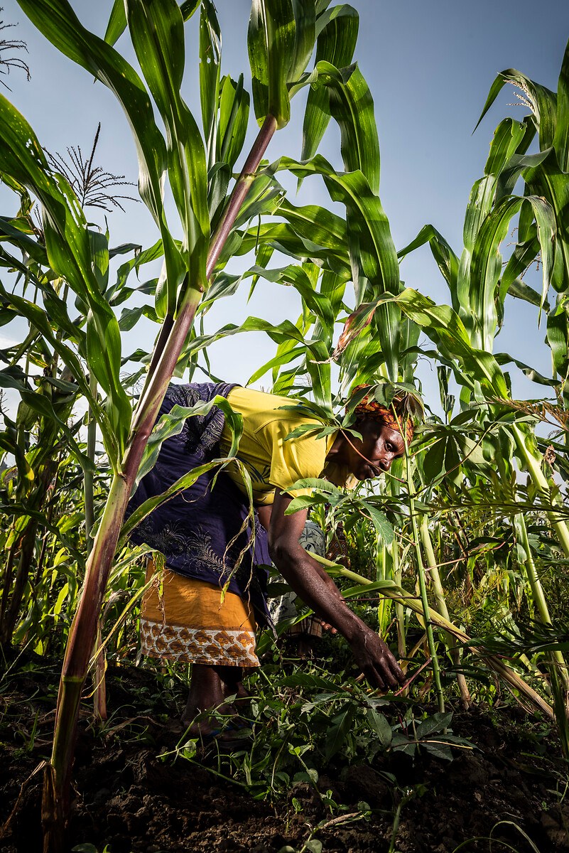 Reportage de William Dupuy a Sake (Nord Kivu)