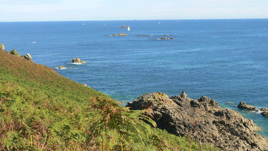 © F. ROBILLARD août 2010 'Rozven' , entre St Malo et Cancale