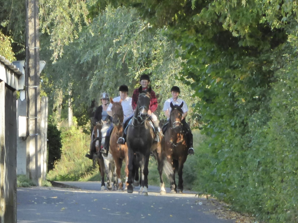 Saint Hubert 2018 2
