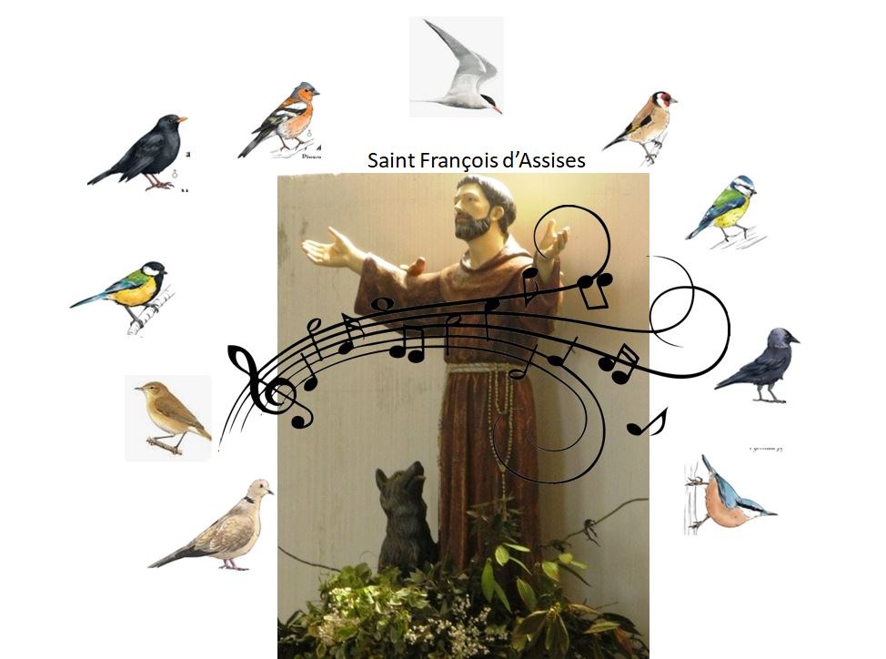 St Francois et oiseaux