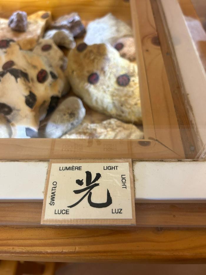 Taizé Oropa Jubilé Jeunes 3