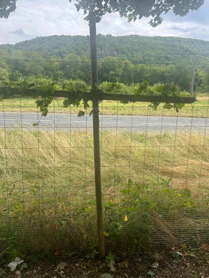 Taizé Oropa Jubilé Jeunes 14