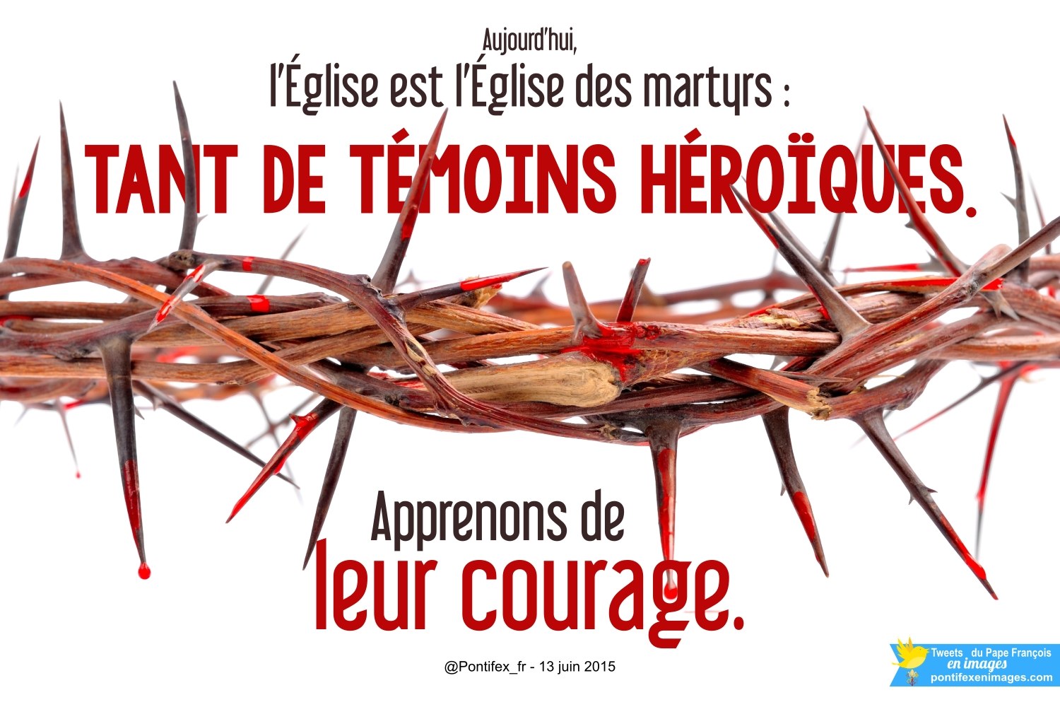 Temoins heroiques pontifex_fr-2015-06-13