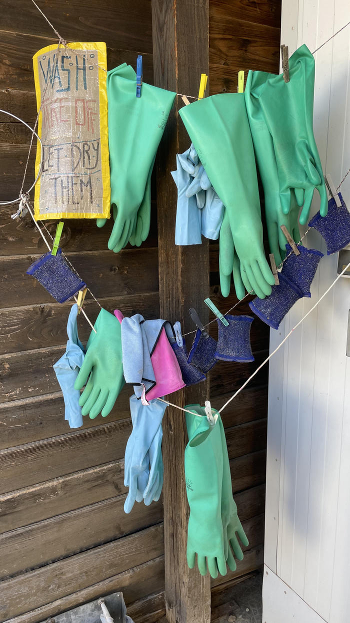 Tzé 2026 mercredi 7