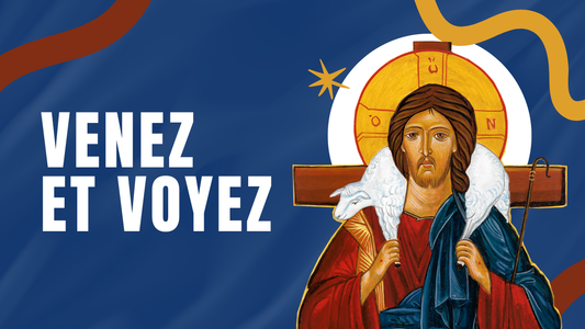 Venez et Voyez